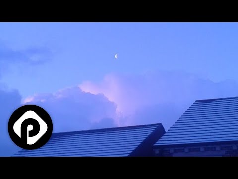 domoh - nausicaa. w/ shortfatty