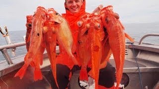 Рыбалка на морского окуня в норвегии