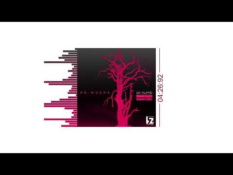 Prïnceps - So Numb | DJ EKL remix (audiø)