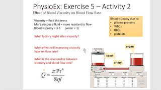 PhysioEx5