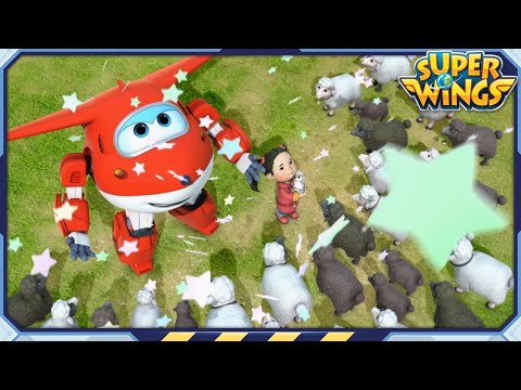 Witness21 Editor  2023 06 04