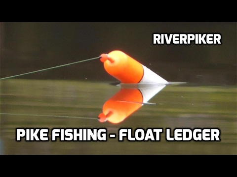 Deadbait pike fishing using the float ledger Video
