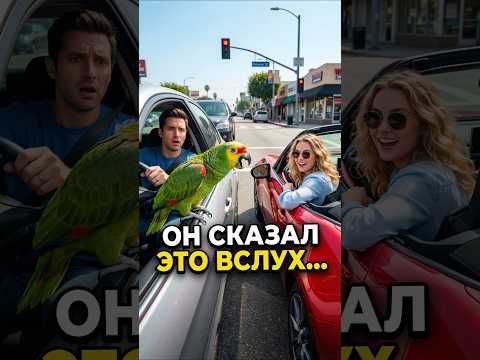 Женщина за рулём — богиня! 😅 #смешно #попугай #юмор