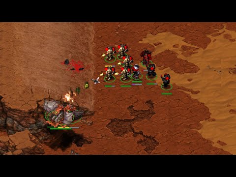 TvZ Continues... | CNSL 7