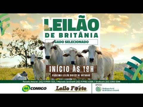 Leilão Sindicato Rural de Britânia-GO - 23/10/25 | Leilão ao vivo - Leilão de Gado