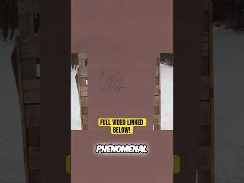 Winchester TSS 20 Gauge Versus Winchester Long Beard XR - WHO WILL WIN?