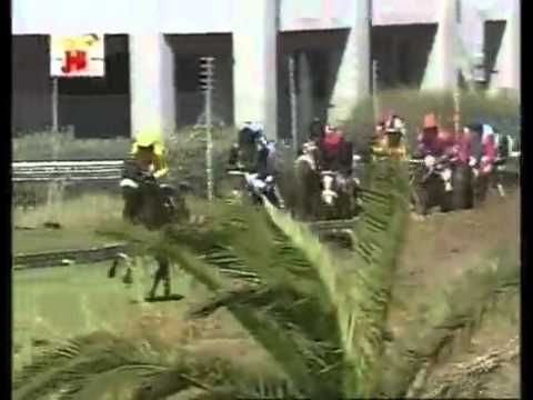 RUN FOR IT Kenilworth 29-01-11 Race 7