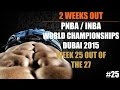 2 Weeks Out PNBA / INBA Natural Bodybuilding World's Dubai 2015 - #25