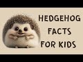 Hedgehog Facts for Kids