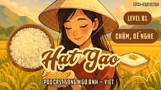 🎧Luyện Nghe Tiếng Anh Level B1 | 📍Topic: The Vietnamese Rice Grain - Hạt Gạo Việt