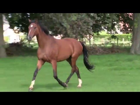 Borsalino prairie 20150920