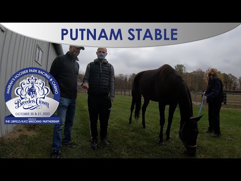 2020 Breeders Crown - Joe & Joey Putnam