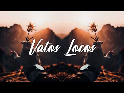 VASTEE_-_(_DXZE_)___DMRS_2022