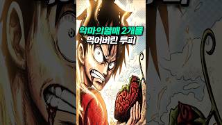 루피가 악마의 열매를 2개 먹고도 안 죽은 진짜 이유