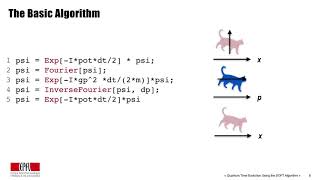 Studentenvideo: Quantenzeitentwicklung mit dem Fourier-Transformations-Algorithmus des Split-Ope...