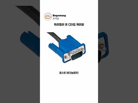 특이점이 온 C타입 케이블