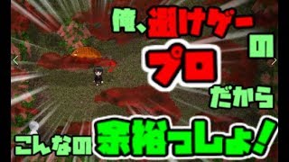【物念世界】　避けゲーのプロだから一発も食らいません part 4〔実況プレイ〕