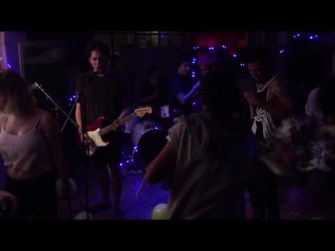 Sheena la cebra @ queretaro