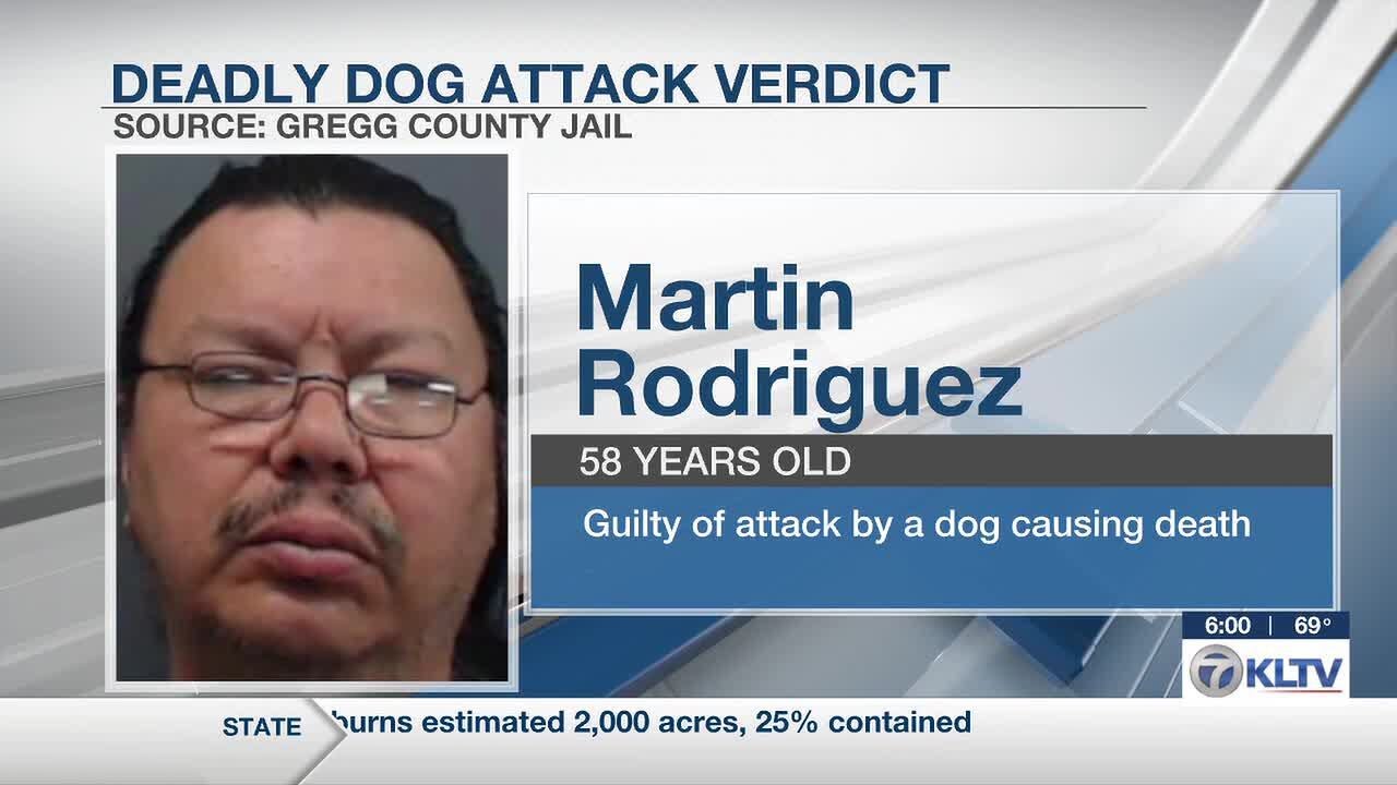 Longview man gets 15 years for fatal dog attack