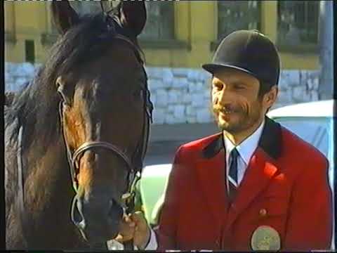 Mediterrán Ősz II. (1991.09.29.)