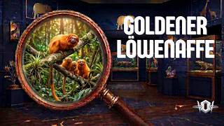 Goldener Löwenaffe | Die Tiere im Allwetterzoo Münster 2026 | Zootasti