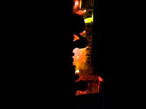 Zarro Night Magnolia