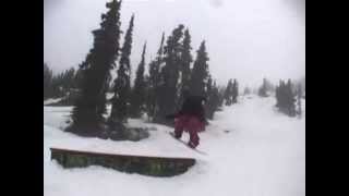 preview picture of video '2008-06-01 Whistler trip Part 2'