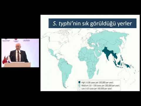 24 seyahat edenler (Erişkin Bağışıklama Akademisi)
