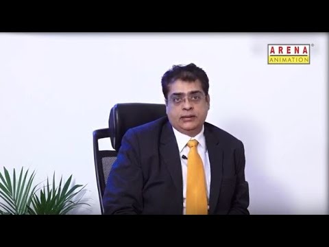 Arena Animation Story