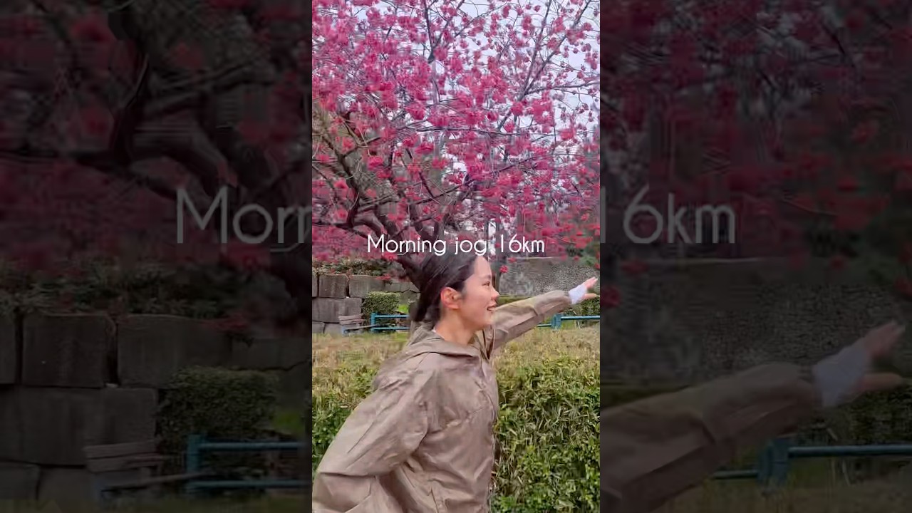 spring morning jog 🌸皇居ラン