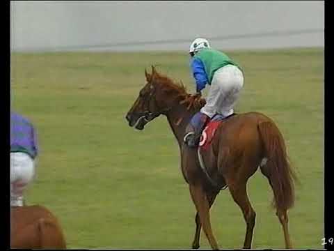 1991 Middle Park Stakes Rodrigo De Triano Includes Replay