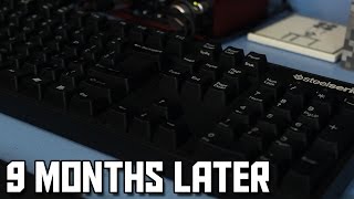 Video thumbnail for SteelSeries 6GV2 Review - 9 Months Later by EposVox