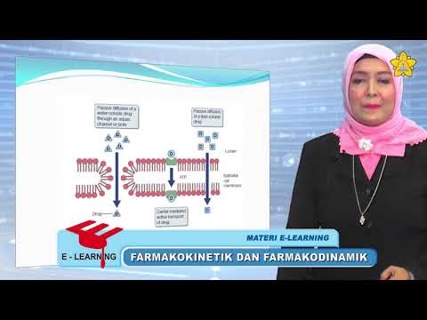 Suplemen makanan Cina untuk potensi Dapatkah saya membeli exciter untuk wanita