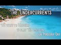 The Undercurrents - The Madeira tribute concert in Madeira