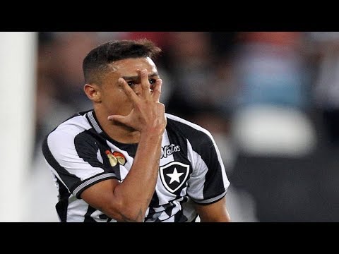 Botafogo 2 x 1 Flamengo - Narração EMOCIONANTE! Luiz Penido 10/11/2018