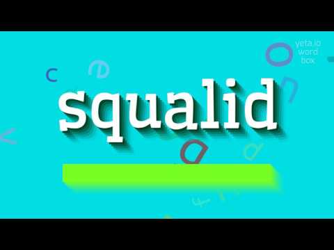 How to say "squalid"! (High Quality Voices)
