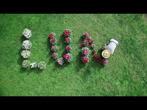 Le Lune Vivaio Firenze