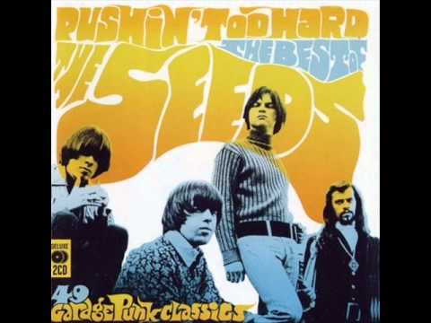 The Seeds - Fallin' Off the Edge (Of My Mind)