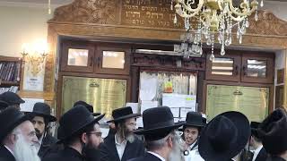 "אומן התשפ"ד: שמחה נפלאה בציונו של רבי נחמן"...