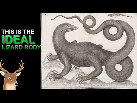 What Exactly is: Monitor Lizard | Biology of the Lizard King