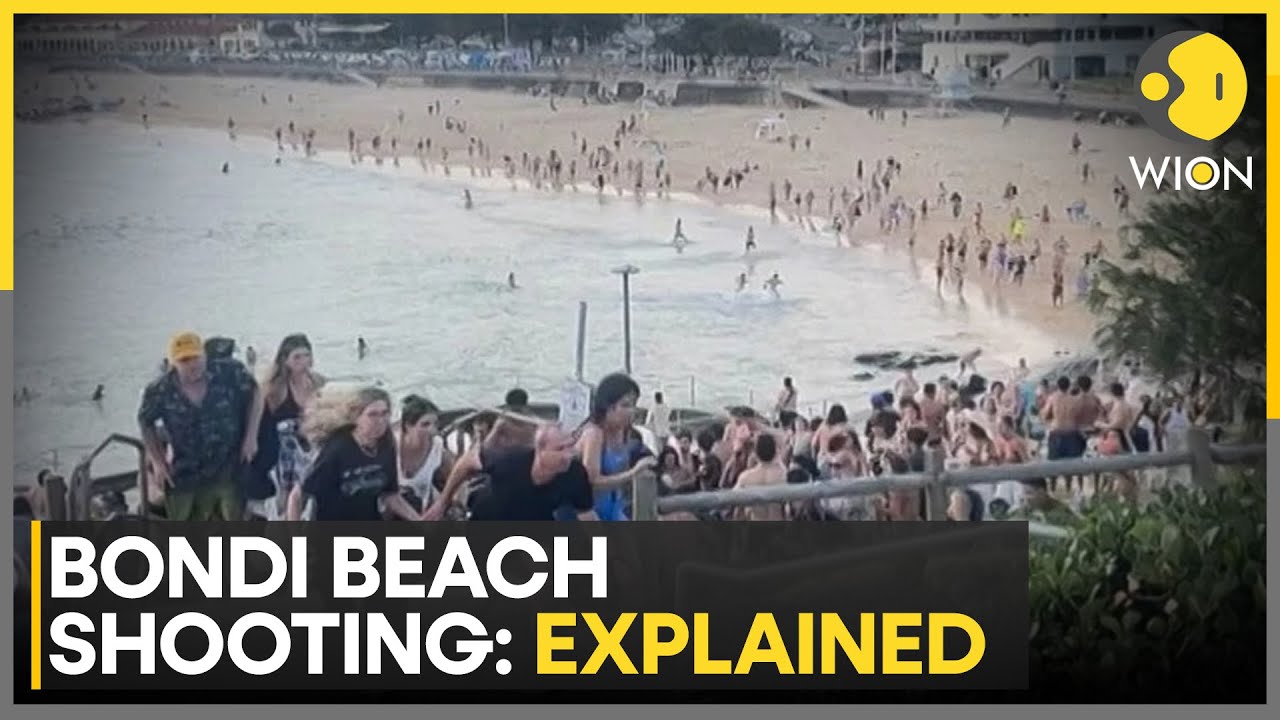 Explainer: What to Know About Sydney's Bondi Beach Mass Shooting | WION