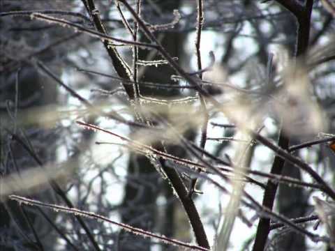 Heartwarming cold - Hartverwarmend koud - December 2007 - Music: Harp Dena and Joanna Marini