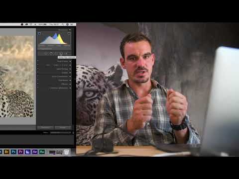 Basic wildlife edits with Adobe Lightroom