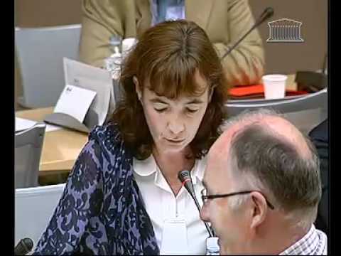 Audition Frédéric Lefèbvre