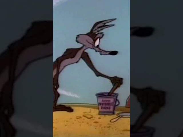 Vídeo relacionado con Looney Tunes Wile E. Coyote Busted Camiseta de manga corta para hombre - S