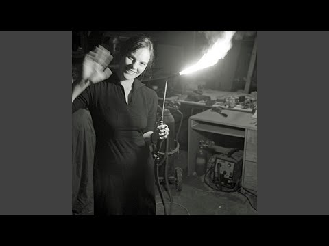 The Calcination of Scout Niblett