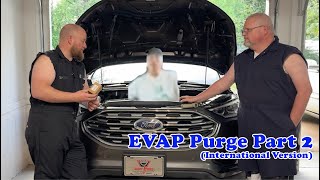 $13 Ford Edge EVAP Purge Valve Replacement. Featuring Fumi-san.
