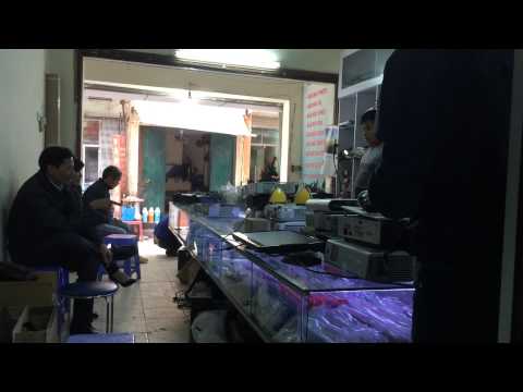 Bóng đèn máy chiếu Optoma EP721, 094951.3333