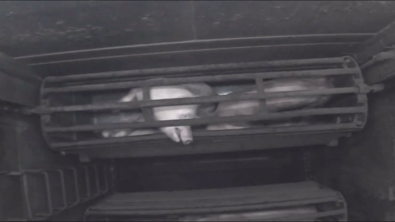 Dominion (2018): Pig Gas Chamber