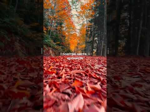 Промінь сонця небо край цілує — ПОВНА ВЕРСІЯ — варіант перший